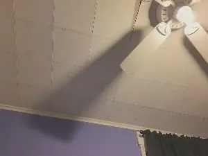 Cam4 Watch Live Sex Cams of rblyll
