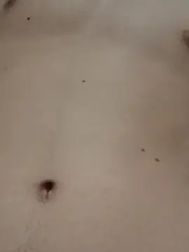 Cam4 Free Live Porn of NOVINHOMUDO