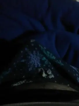 Cam4 Adult Video Chat of Knacho345