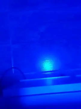 Cam4 Free Live Porn of CasalSemAnal