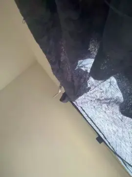 Cam4 Free Live Porn of Senhornunes