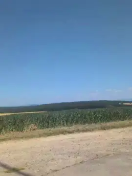 Cam4 Live Sex Cam of Herr_Passion
