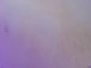 Cam4 Private Sex Chat of Allison_Star1