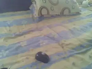 Cam4 Live Sex of naskicha