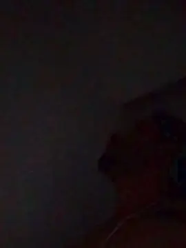 Cam4 Watch Live Sex Cams of Packo