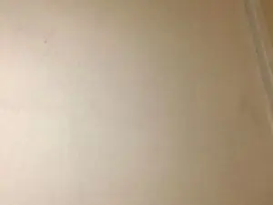 Cam4 Live Porn of Javierapalacios