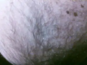 Cam4 Private Sex Chat of runroma