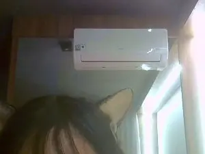 Cam4 Sex Cam of SkinnyKittenCam