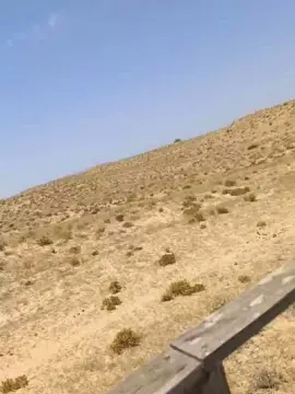 Cam4 Live Sex Cam of Cruising18
