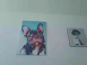 Cam4 Sex Cam of ErolDutch