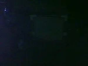 Cam4 Nude Webcam of antpa803
