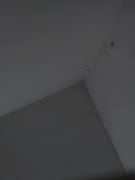 Cam4 Best live sex cam show of danthepiero