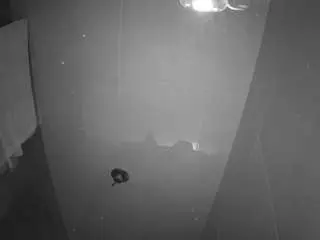 Camsoda Live Sex Cam of voyeurcam-casa-salsa-bathroom-11
