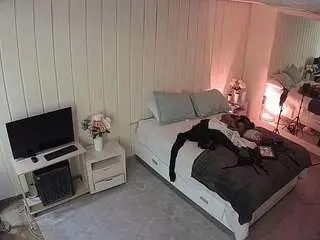 Camsoda Sex Chat of voyeurcam-casa-salsa-bedroom-5
