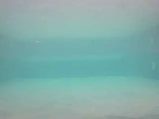 Camsoda Sex Chat of voyeurcam-casa-salsa-pool-1
