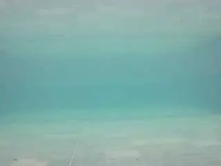 Camsoda Sex Cam of voyeurcam-casa-salsa-pool-1