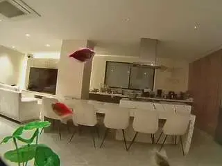Camsoda Adult Webcam of voyeurcam-casa-salsa-fishtank