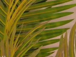 Camsoda Adult Webcam of valery-swan