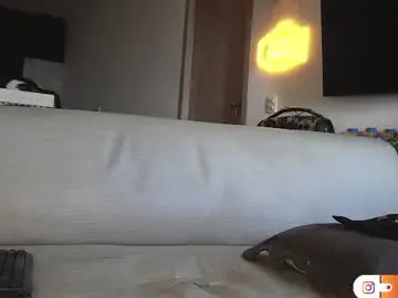 Chaturbate Live Sex of tarek_dan