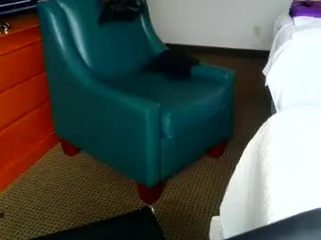 Chaturbate Live Porn of kung_furious