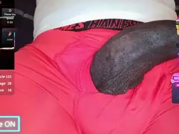 Chaturbate Adult Webcam of bigdikfreak