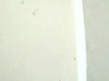 Chaturbate Live Sex Cam of birbikrom104