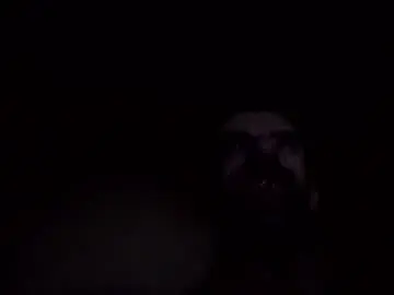 Chaturbate Live Sex Cam of fffjj021