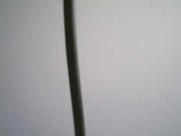 Chaturbate Free Porn Cam of black_tentationx