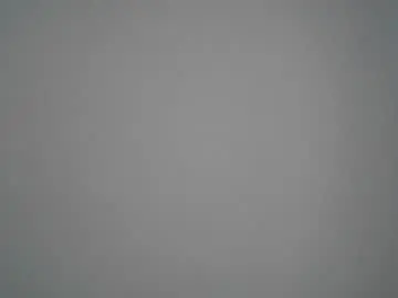 Chaturbate Live Porn of piggyplaypen
