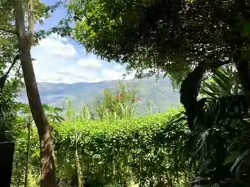 Chaturbate Live Sex of valentin_hoffman