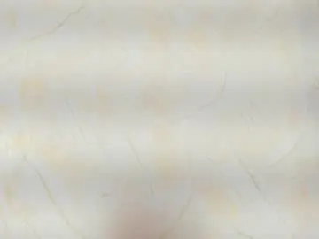 Chaturbate Private Sex Chat of im_felixhunter