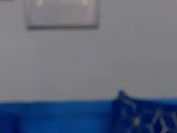 Chaturbate Watch Live Sex Cams of annehove