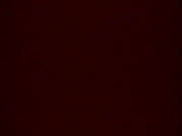 Chaturbate Live Sex Cam of bonershow