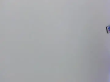 Chaturbate Adult Webcams of velvet_giirll