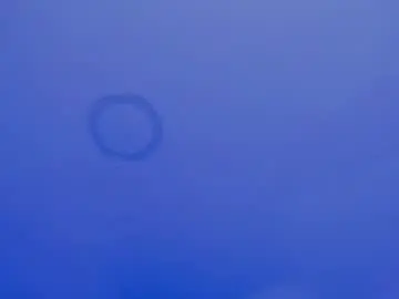 Chaturbate Adult Webcam of scarlett29_