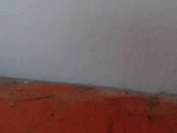 Chaturbate Live Porn of alexamdergal