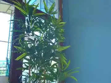 Chaturbate Private Sex Chat of _parishill