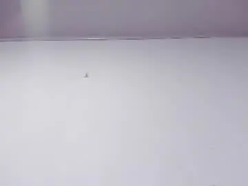 Chaturbate Nude Webcam of nahomyrusell