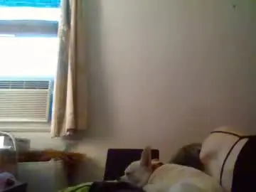 Chaturbate Live Sex Cam of hellboy29ts