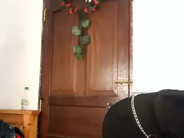 Chaturbate Adult Video Chat of velvetdesiree