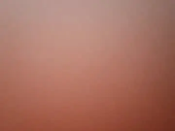Chaturbate Best Webcam of reafrio