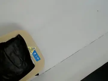 Chaturbate Live Sex of ella_walkerxxx