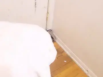 Chaturbate Sex Cam of jamwarnerone
