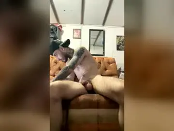 Chaturbate Live Sex of panthers_room