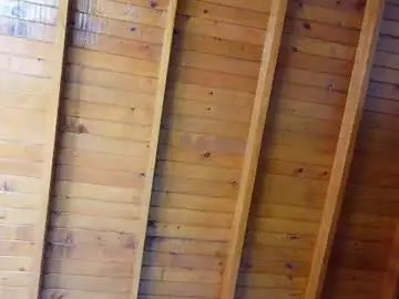 Chaturbate Nude Webcam of shule71