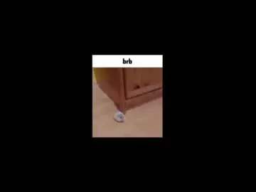 Chaturbate Live Sex of sly_gus