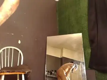 Chaturbate Free Porn Cam of bigpussypump