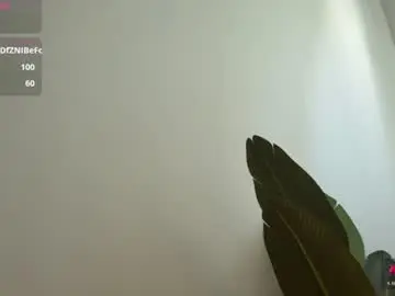 Chaturbate Free Live Porn of eva_vex