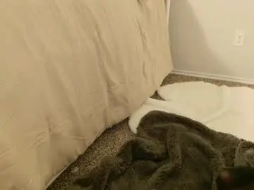 Chaturbate Live Sex of elisparadisex
