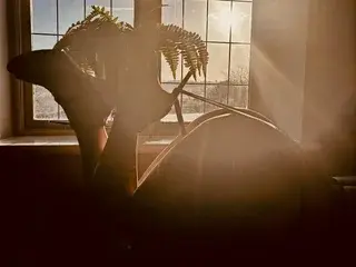 Streamate Free Porn Cam of KatieCarterX